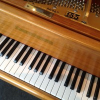 Hofmann & Czerny Pianos-Pianos for Sale